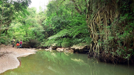 Một trong những khu vực tham quan thuộc vườn thực vật Phong Nha - Kẻ Bàng.